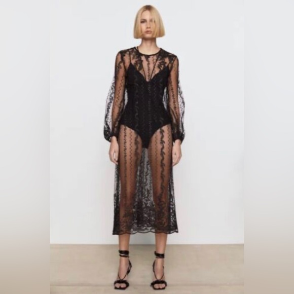🚨SOLD🚨Zara Embroidered Sheer Dress - Picture 5 of 7